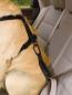 Preview: Kurgo Seatbelt Teather with Carabiner Black Preview: Kurgo Seatbelt Teather with Carabiner Black